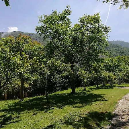 Casale Le Noci Apartment *